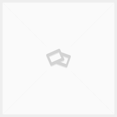 placeholder placeholder