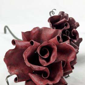 Closeup of the rose in bloom