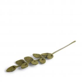 Multi-Leaf Branch